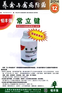 ���������ݲ����Ρ�