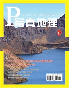 ��д�������