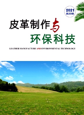 ��Ƥ�������뻷���Ƽ���